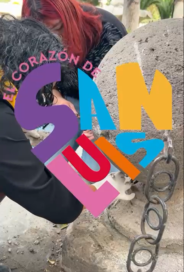 Captura de pantalla 2026-01-05 155108
