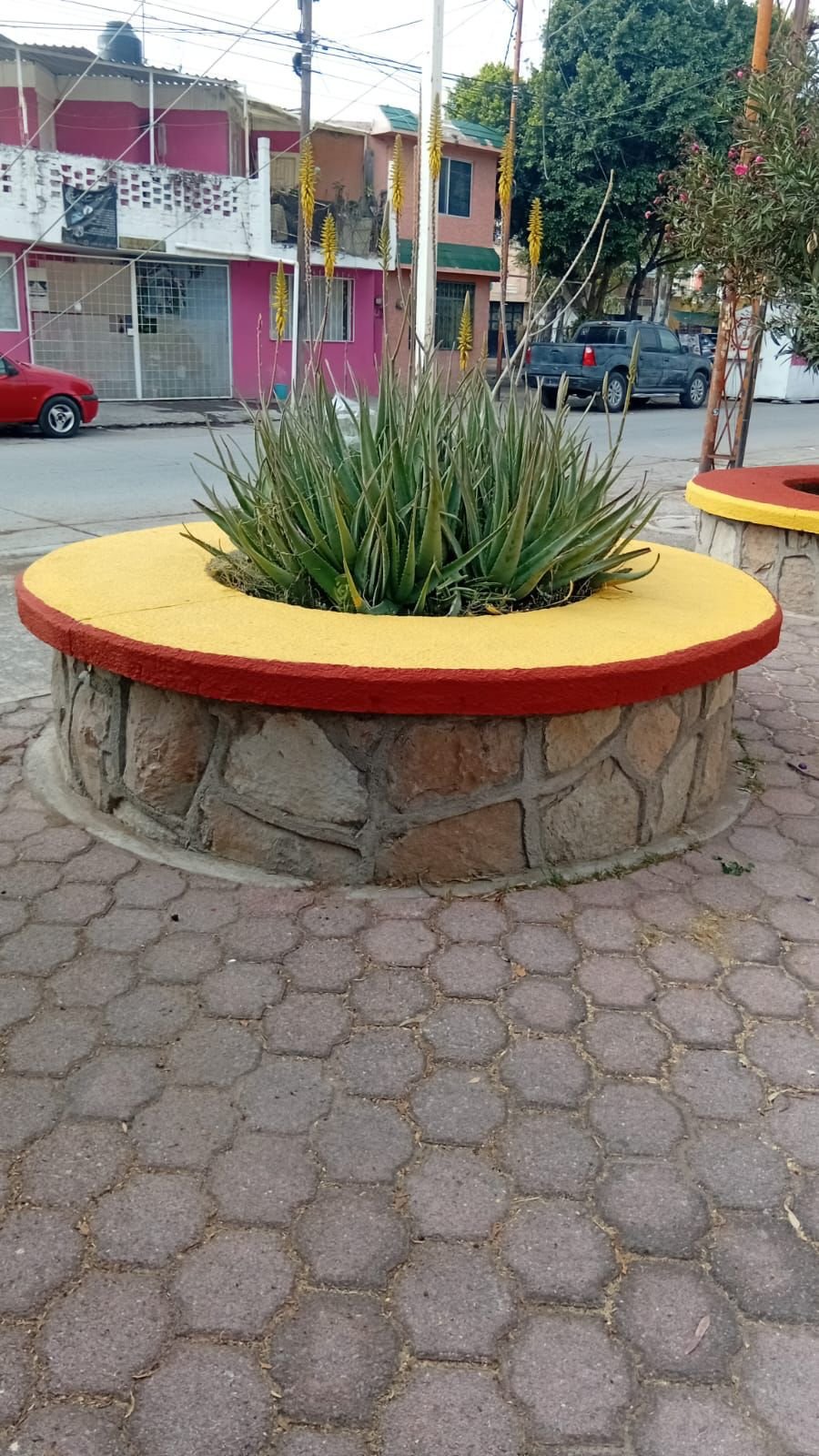 IMG-20260124-WA0015